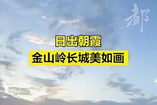 半岛电子官网首页网站下载截图1